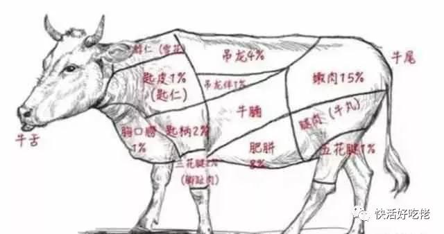 重慶牛肉火鍋加盟